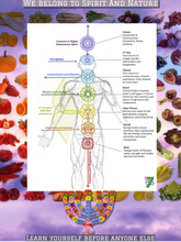 Load image into Gallery viewer, The Body System Session