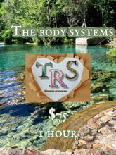 Load image into Gallery viewer, The Body System Session