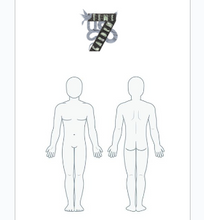 Load image into Gallery viewer, Acuflex Massage Therapy